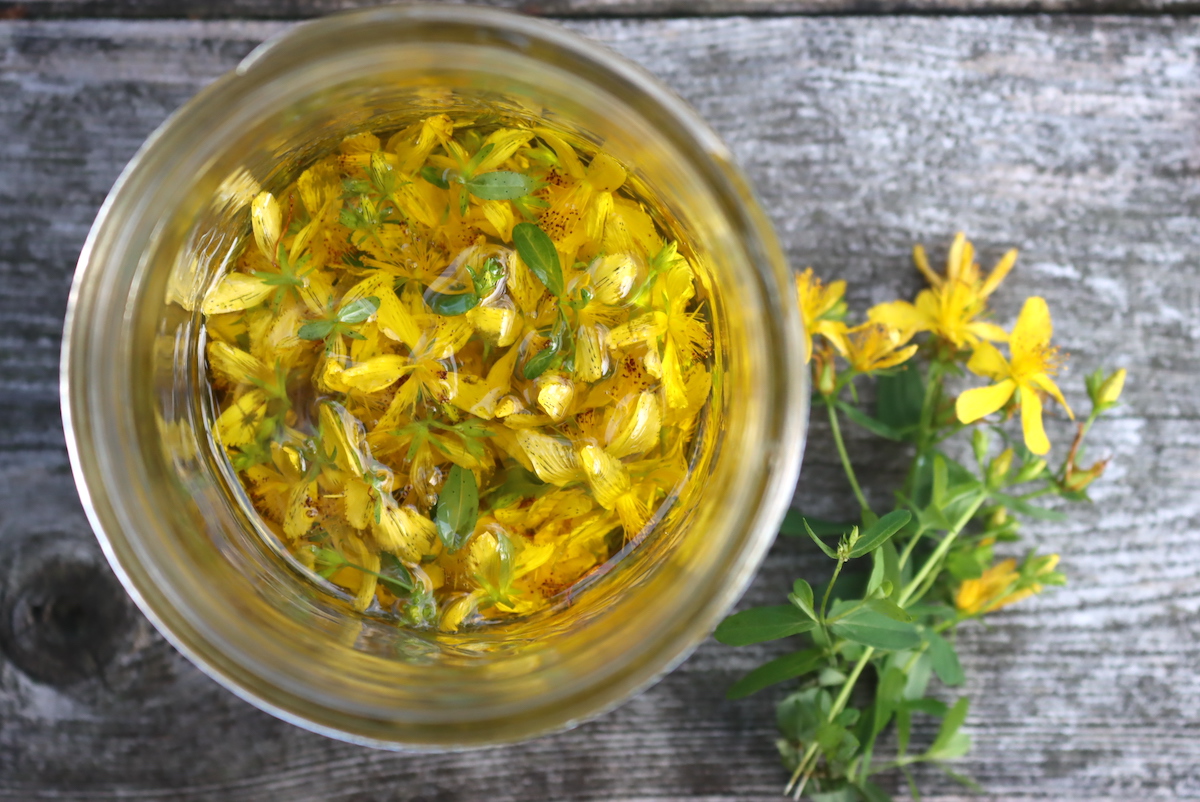 St Johns Wort Oil Infusing
