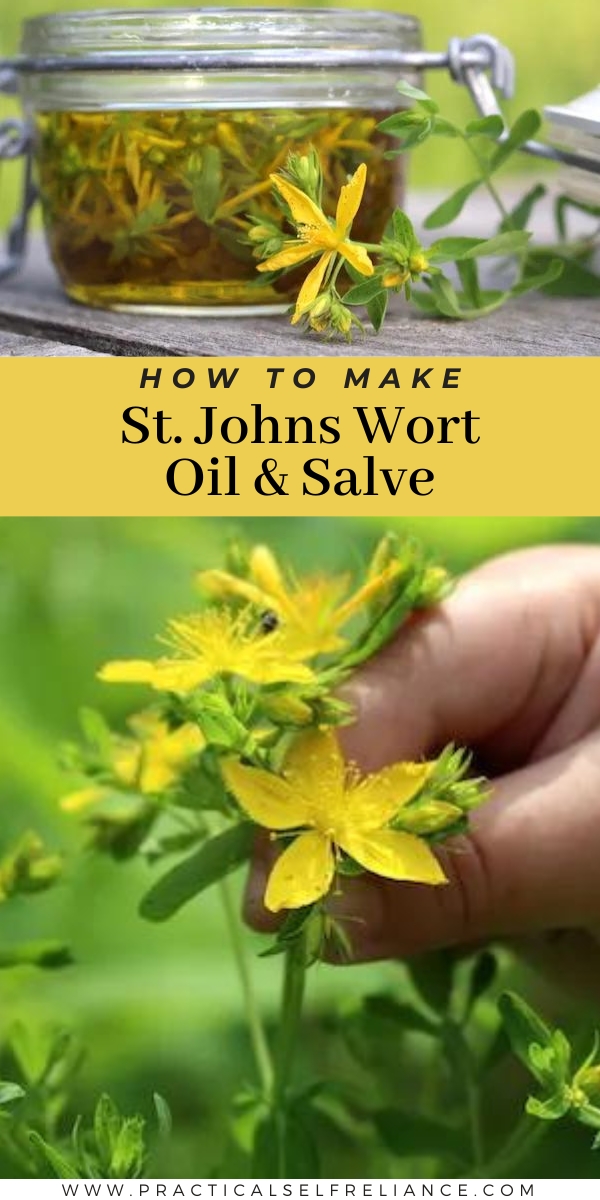St Johns Wort Oil and Salve