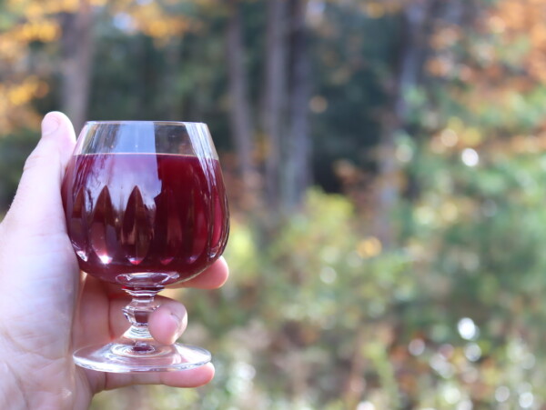 Aronia Wine