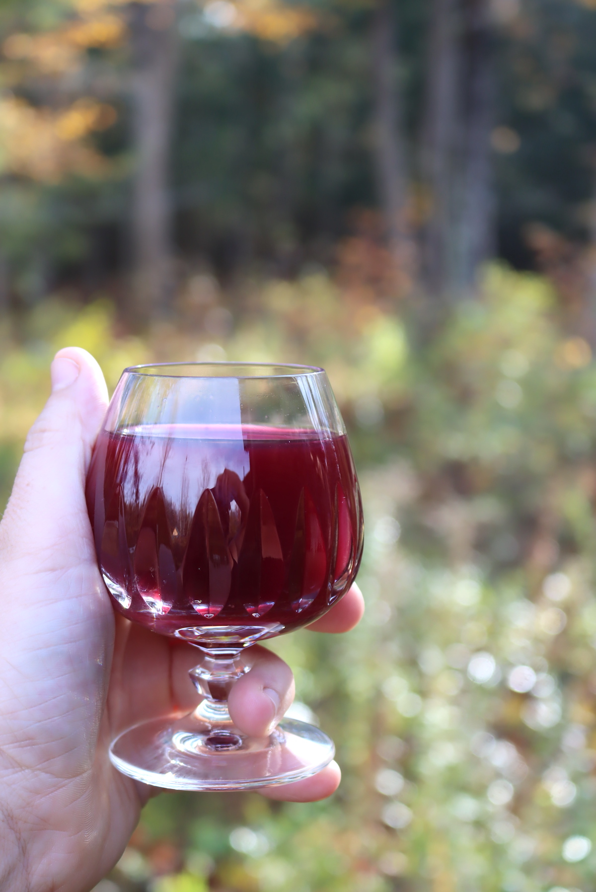 Aronia Wine