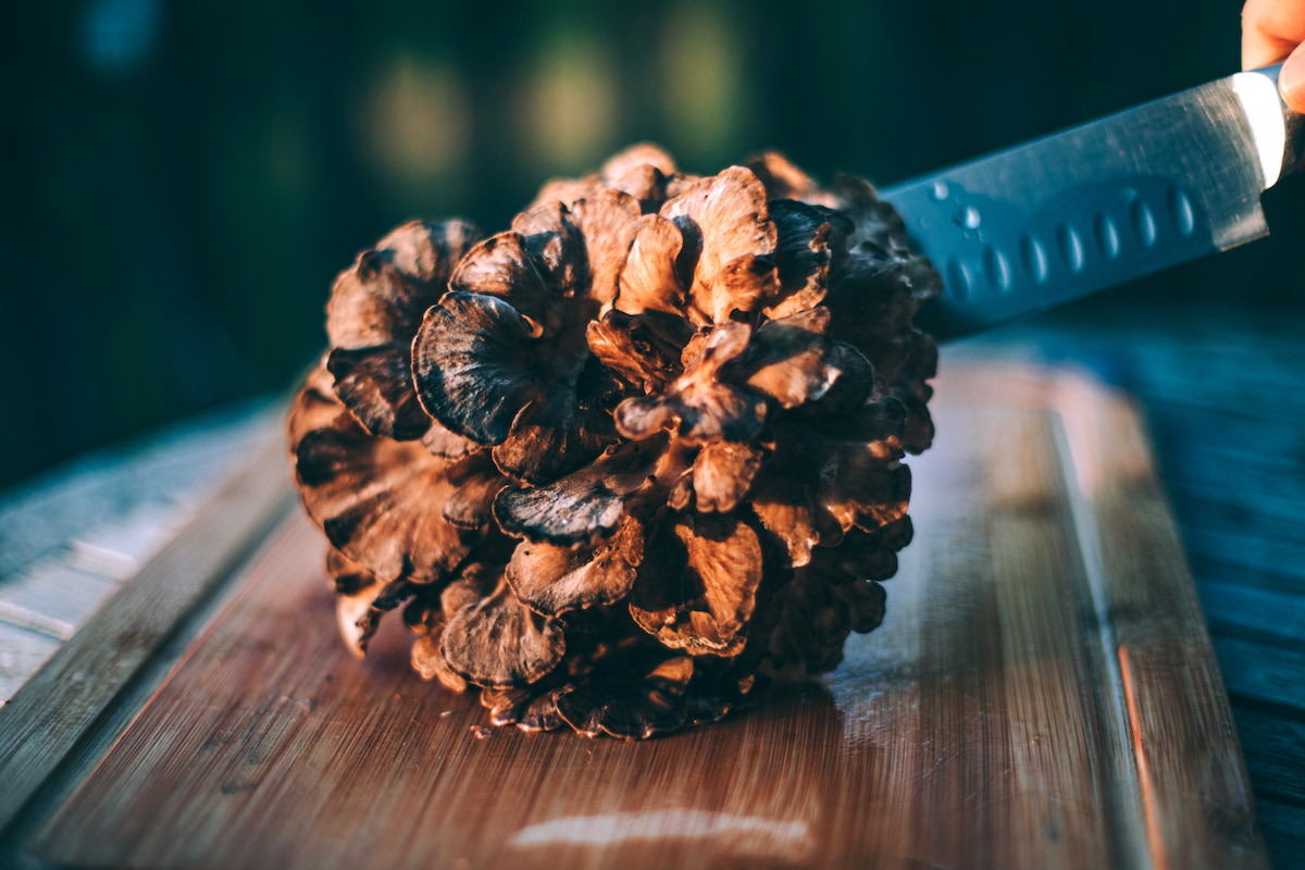 Hen of the Woods Mushrooms