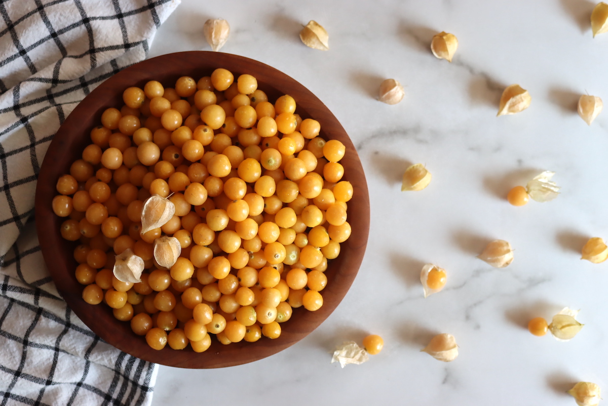 Ground Cherry Harvest