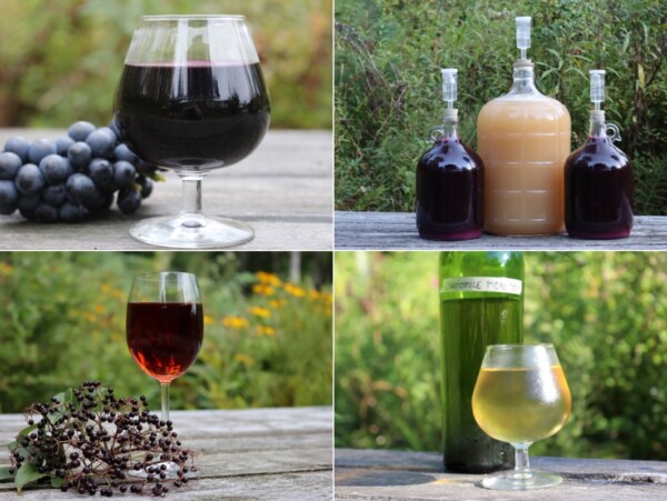 Home Winemaking Recipes