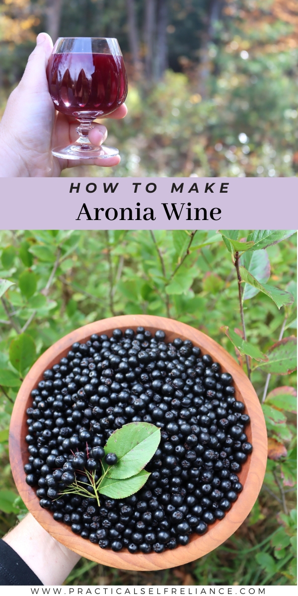 Making Aronia Wine