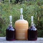 Making Wine from Grapes