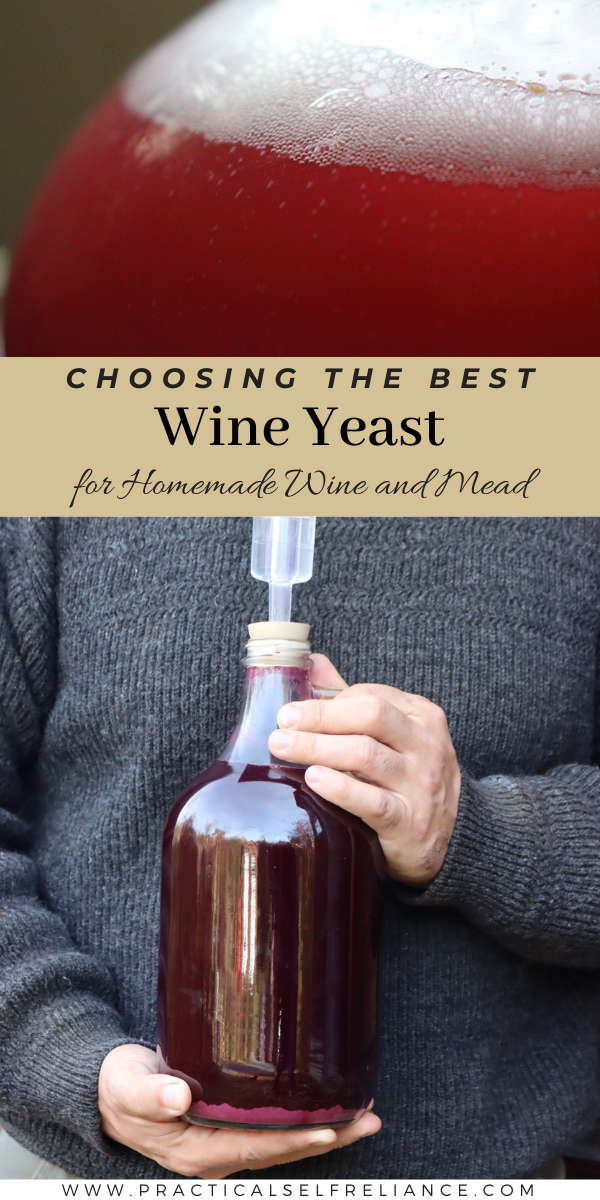 Wine Yeast Guide