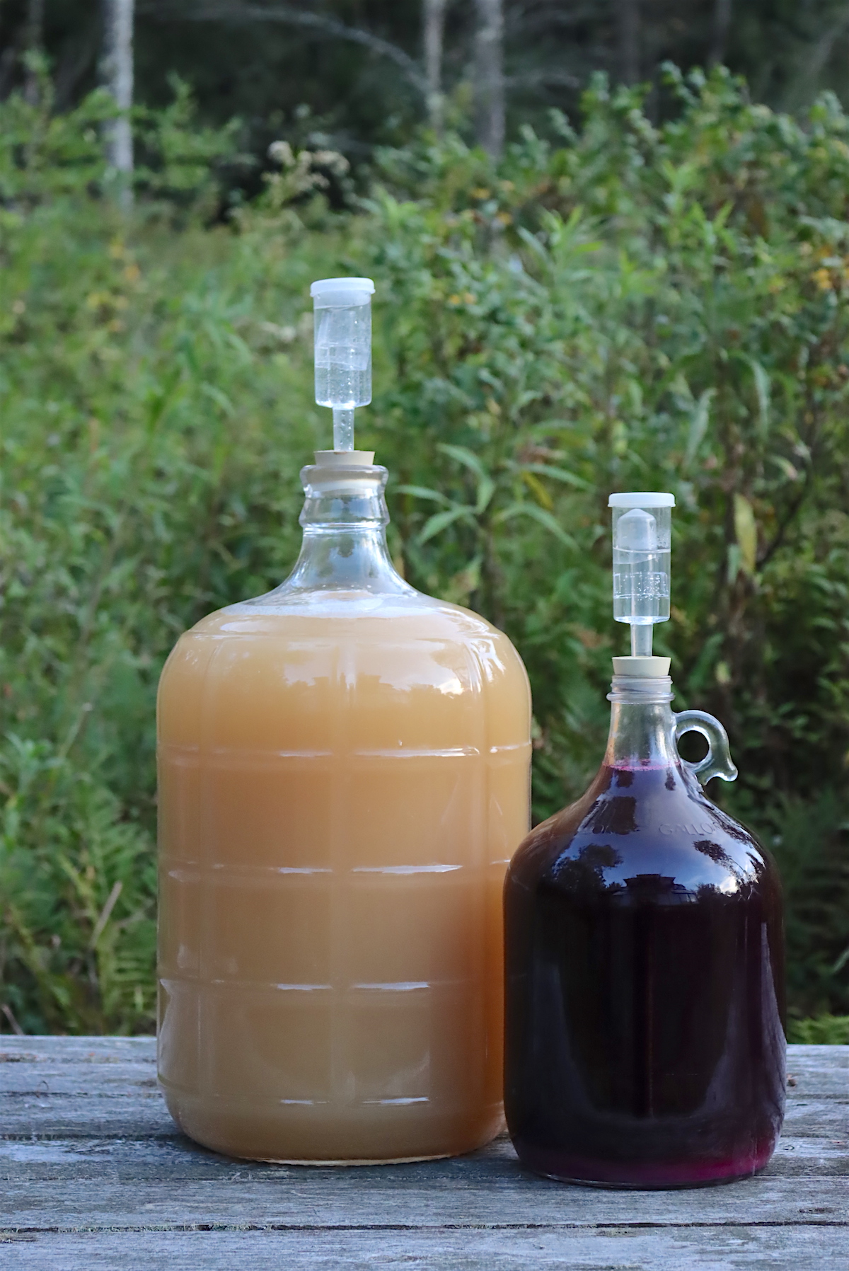 Making wine from grapes
