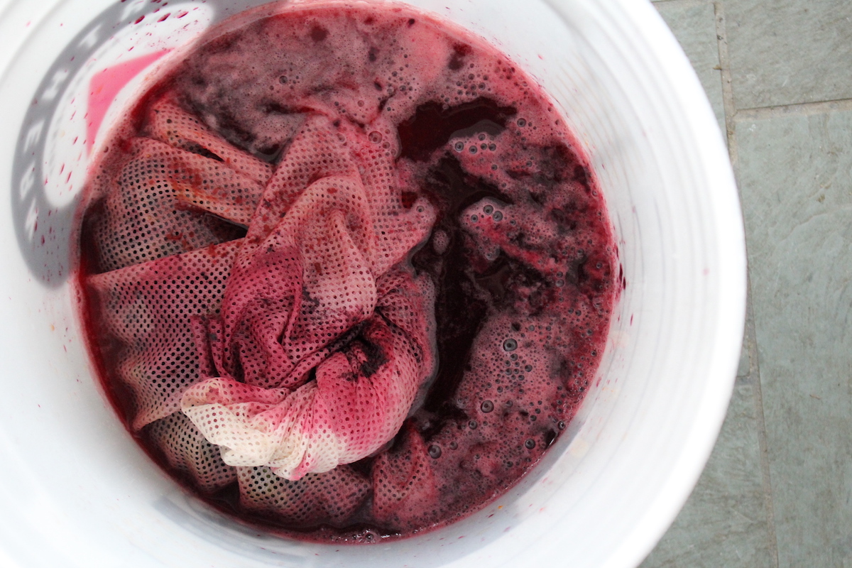 grape wine after 24 hours