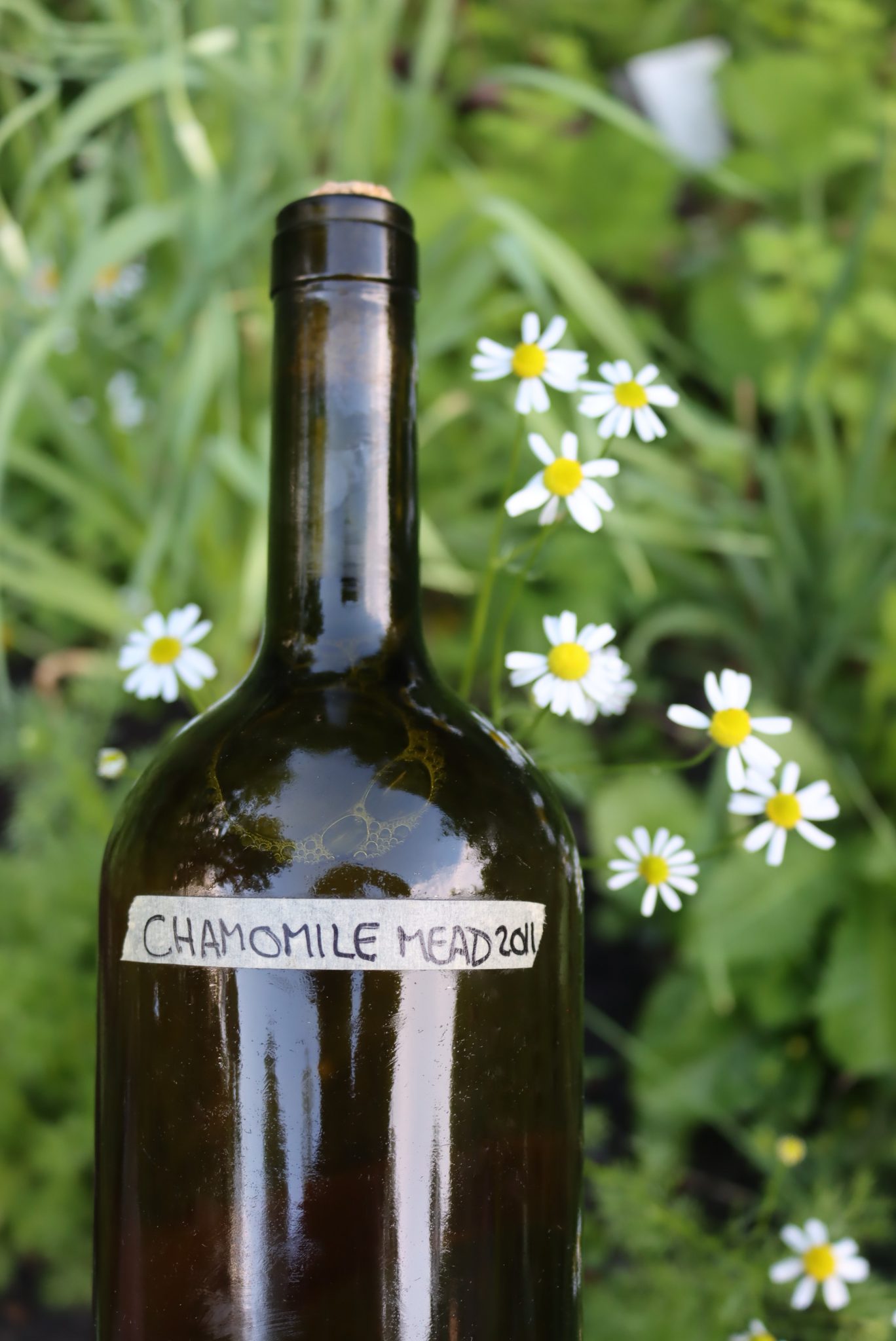 Chamomile Mead