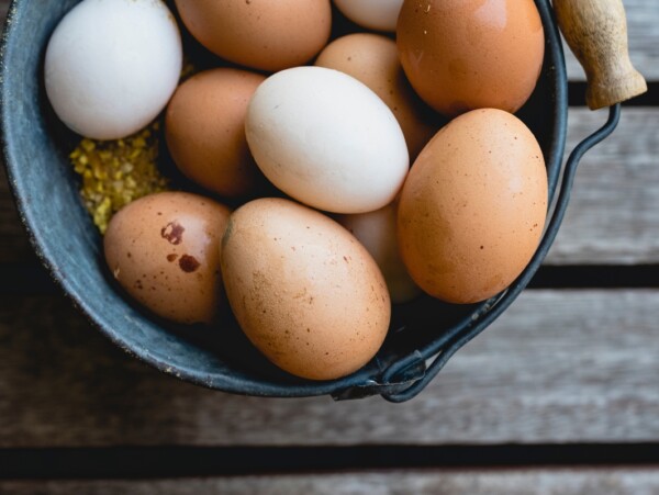 Chicken Eggs