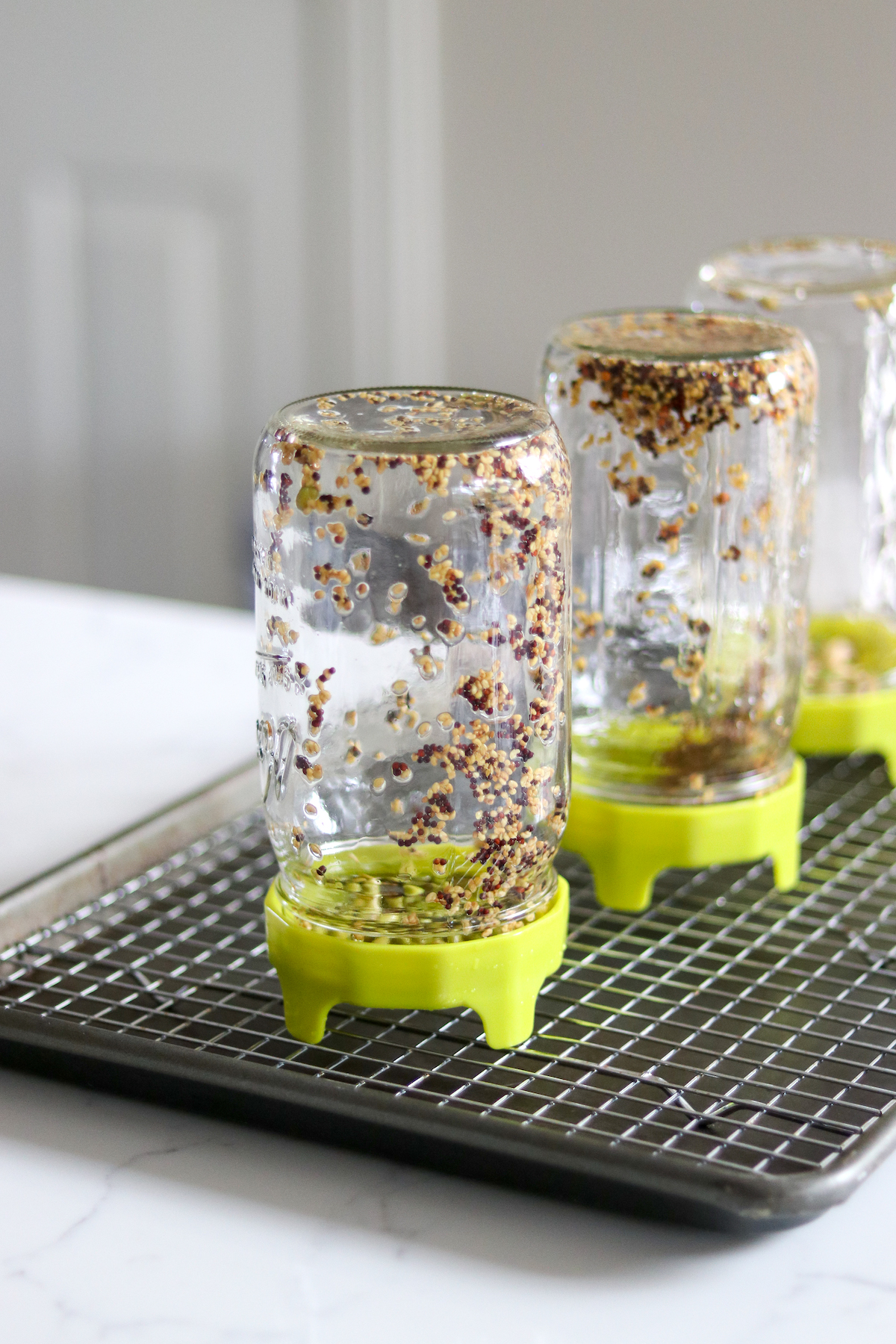 Draining Sprout Seeds