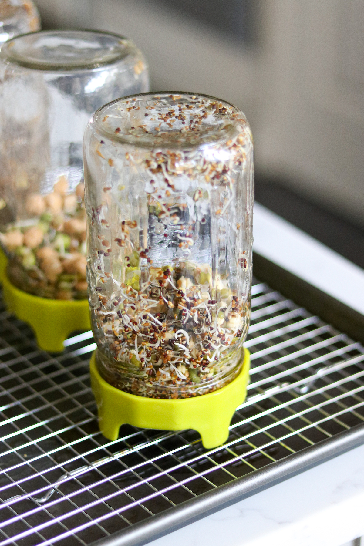 Draining Sprouts