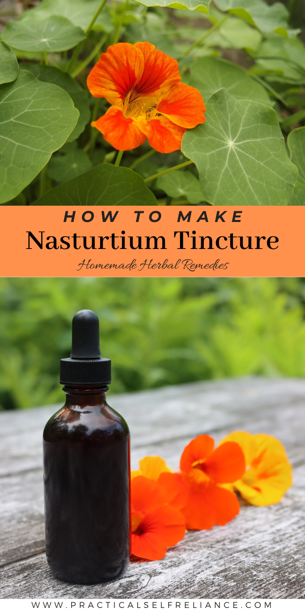 How to Make Nasturtium Tincture