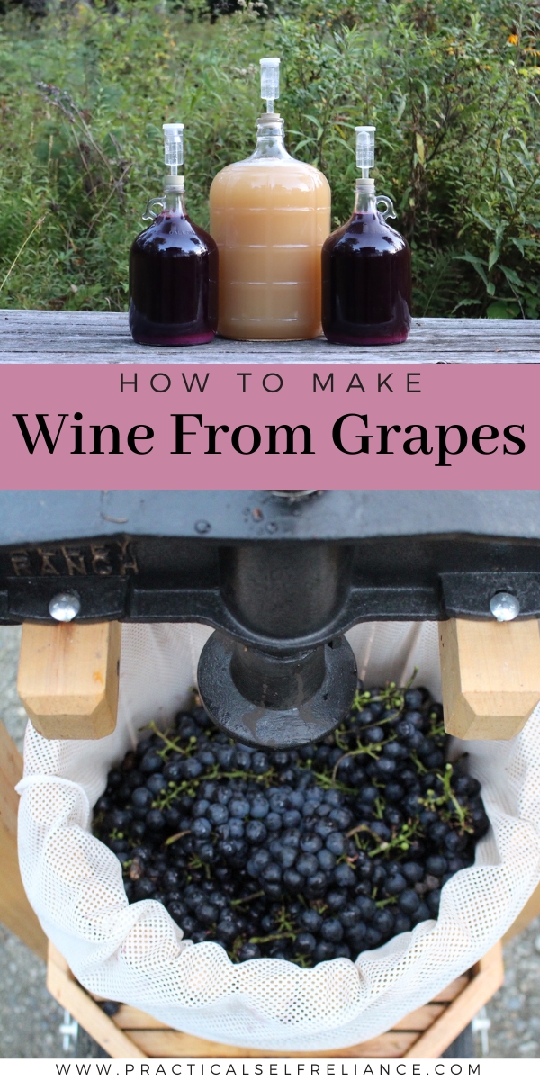 How to Make grape wine