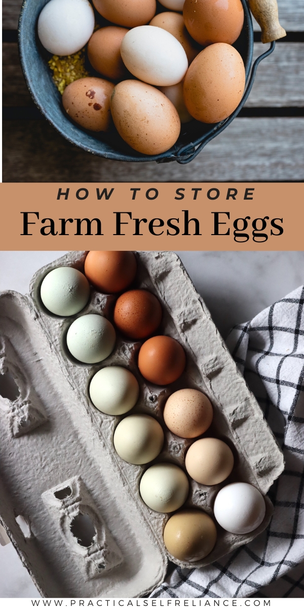 How to Store Farm Fresh Eggs