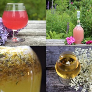 Making Flower Wines