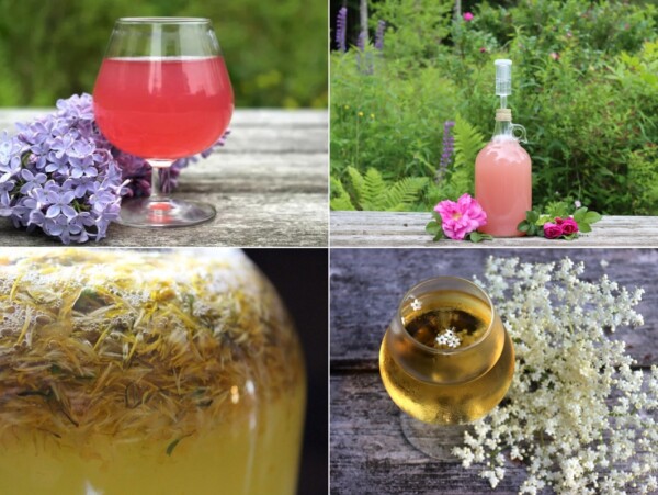 Making Flower Wines