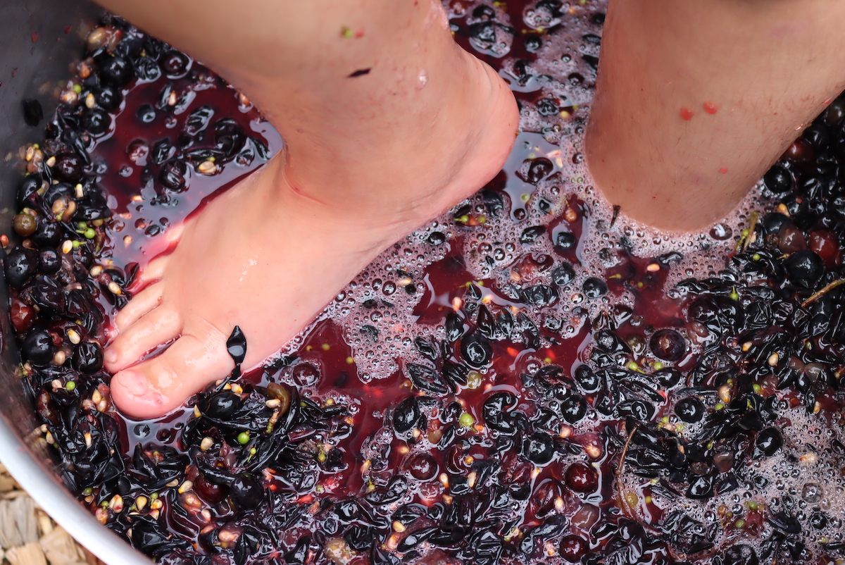 Mashing Grapes with Feet