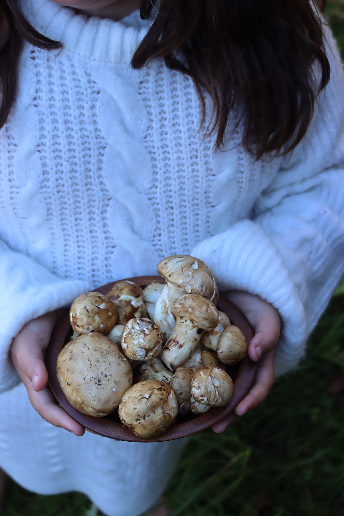 Matsutake Mushrooms