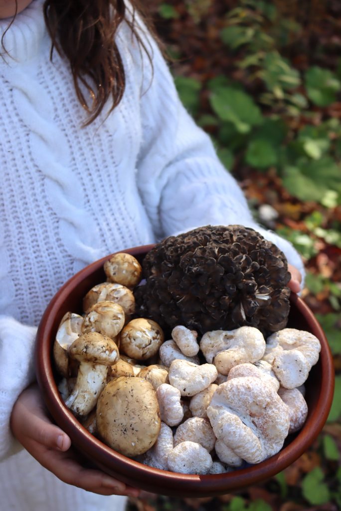 Bowl of fall mushrooms with matsutake, a hen of the woods, and shrimp of the woods