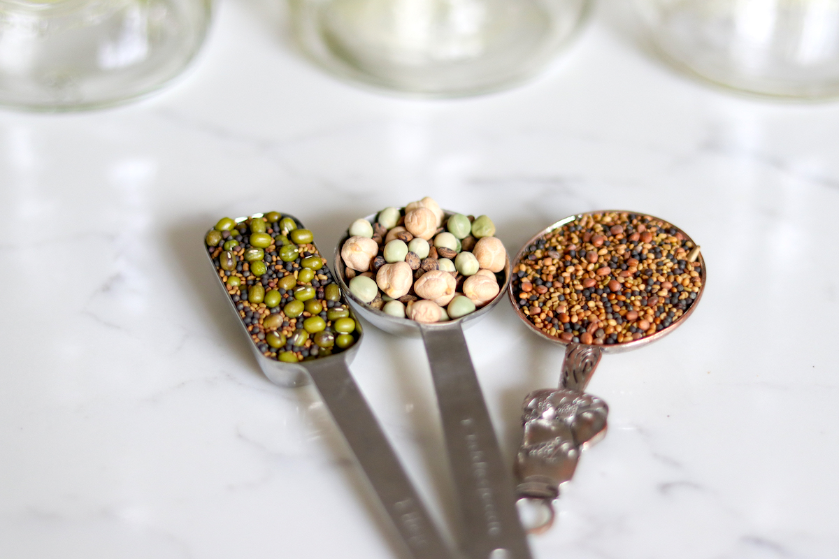 Measure Sprouting Seeds