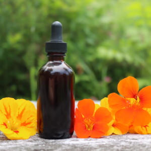 Nasturtium Tincture