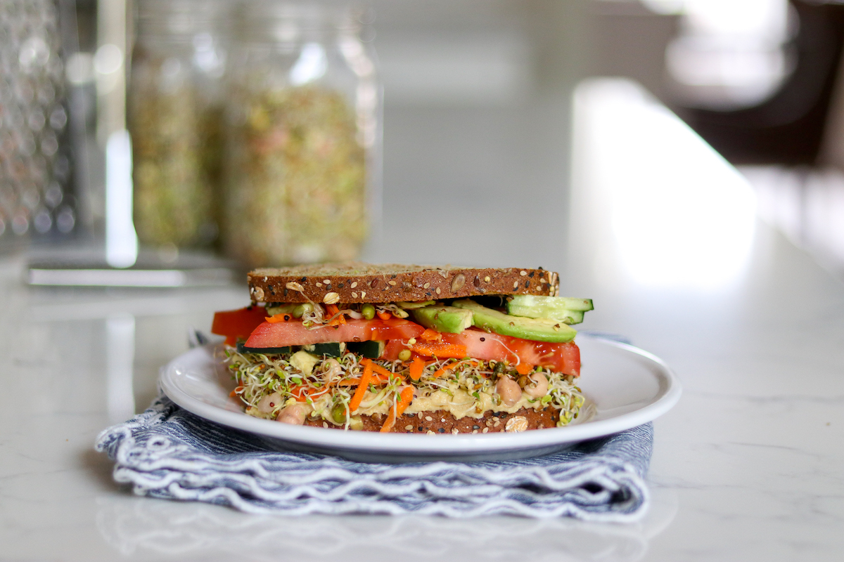 Sandwich with Homegrown Sprouts