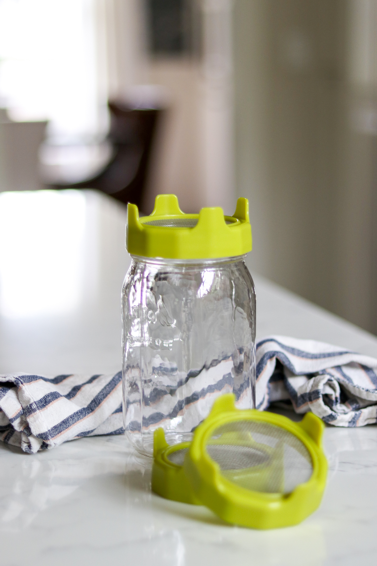 Seed Sprouting Jars