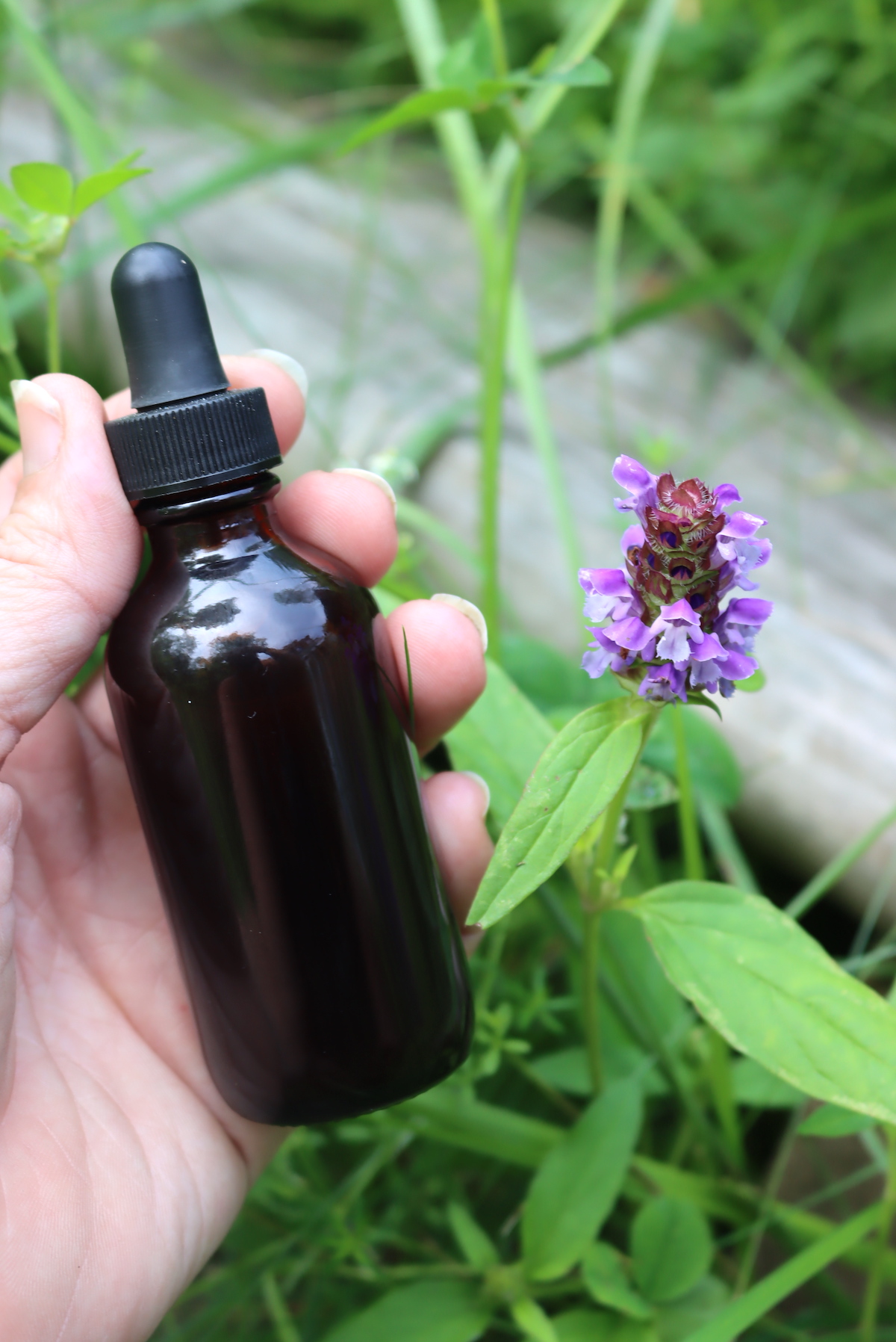 Self Heal Tincture