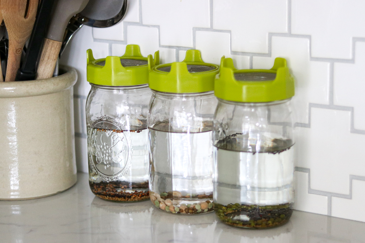 Soak Sprouting Seeds