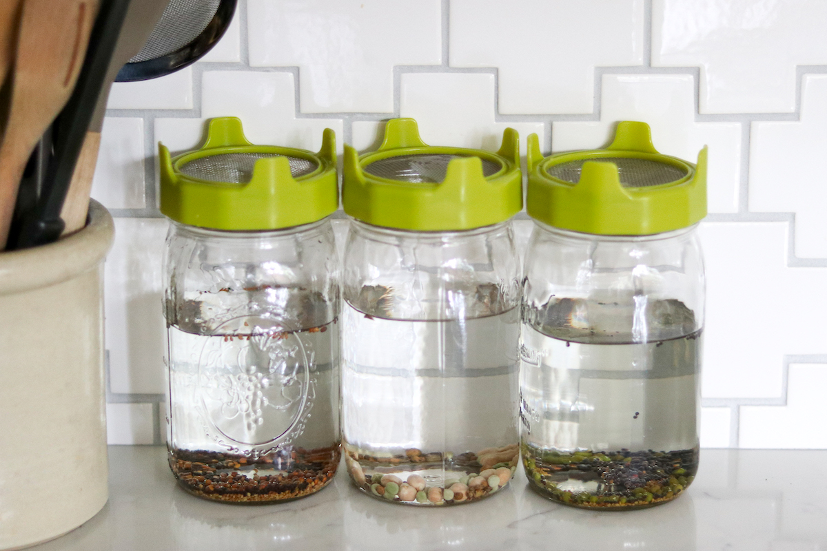 Soaking Sprouting Seeds