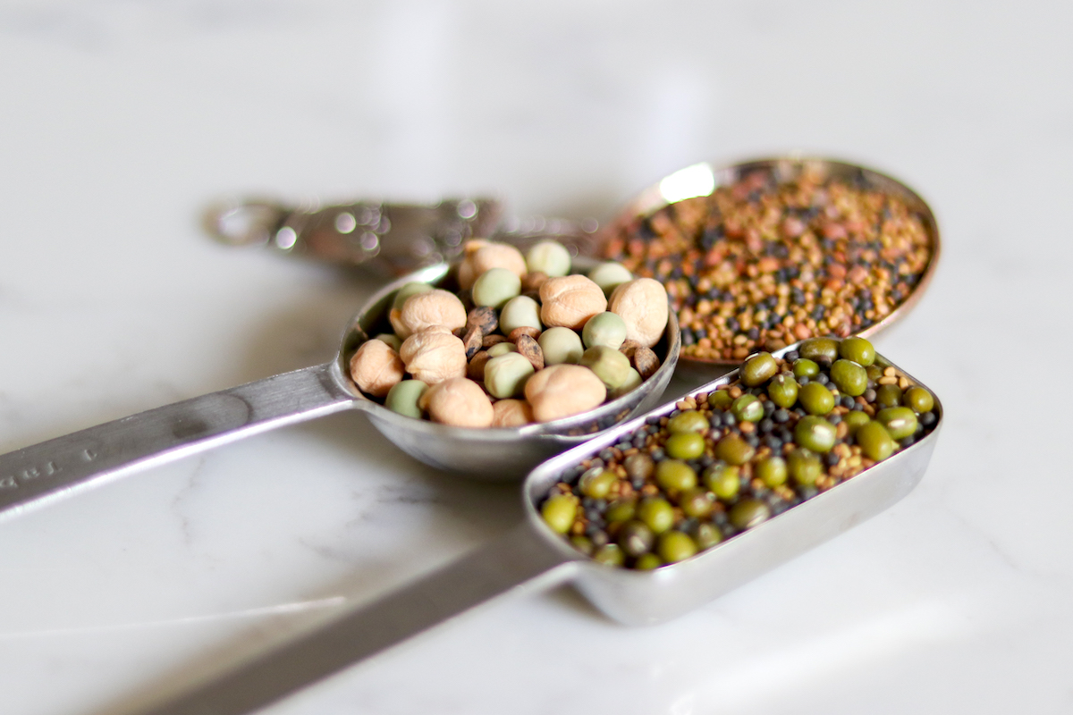 Sprout Seeds