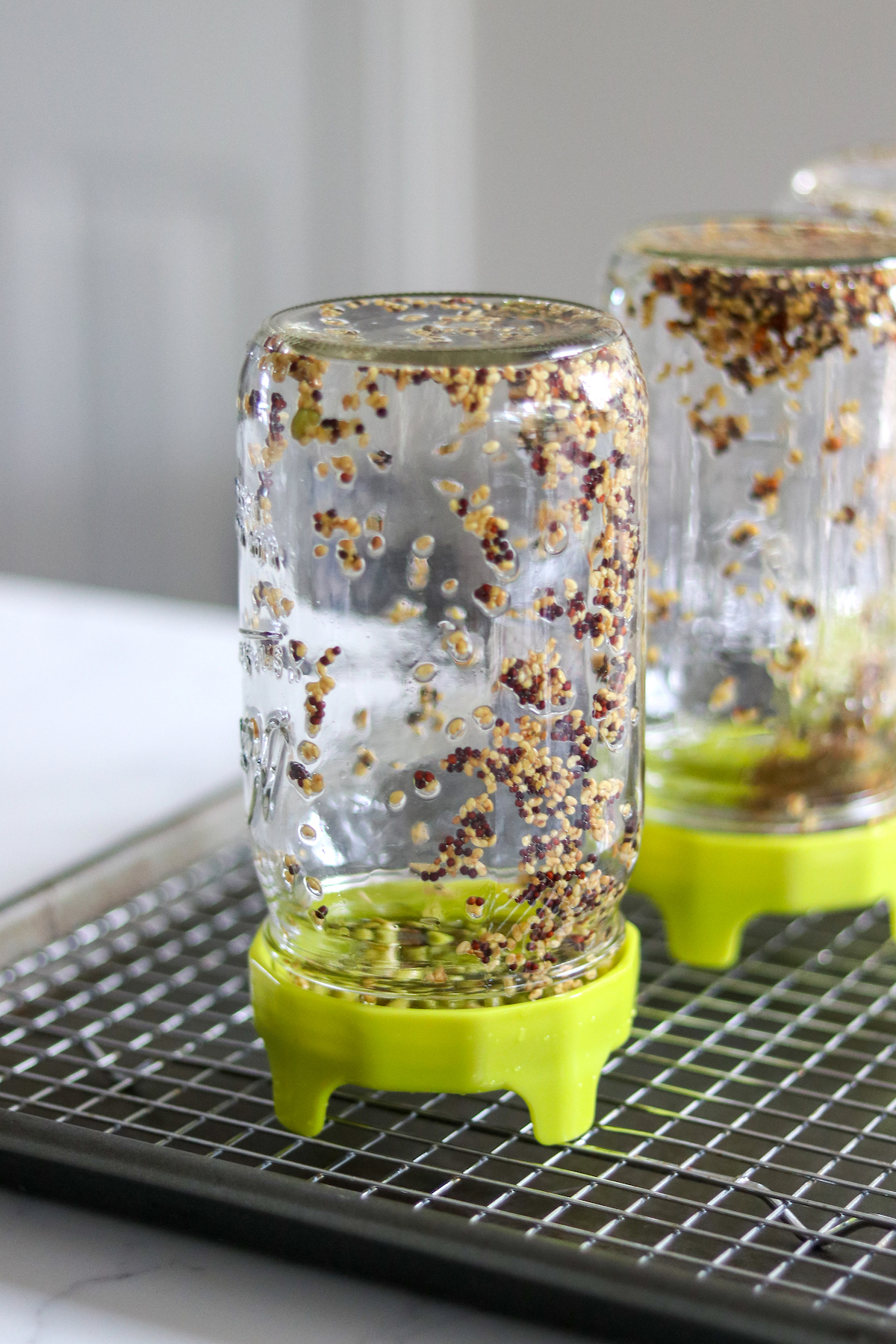 Sprouting Jar