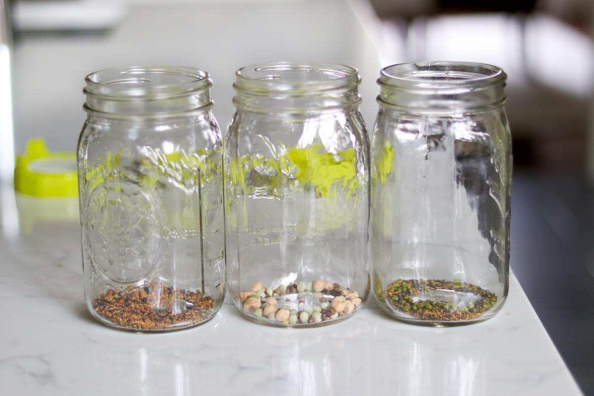 Sprouting Seeds in Jars