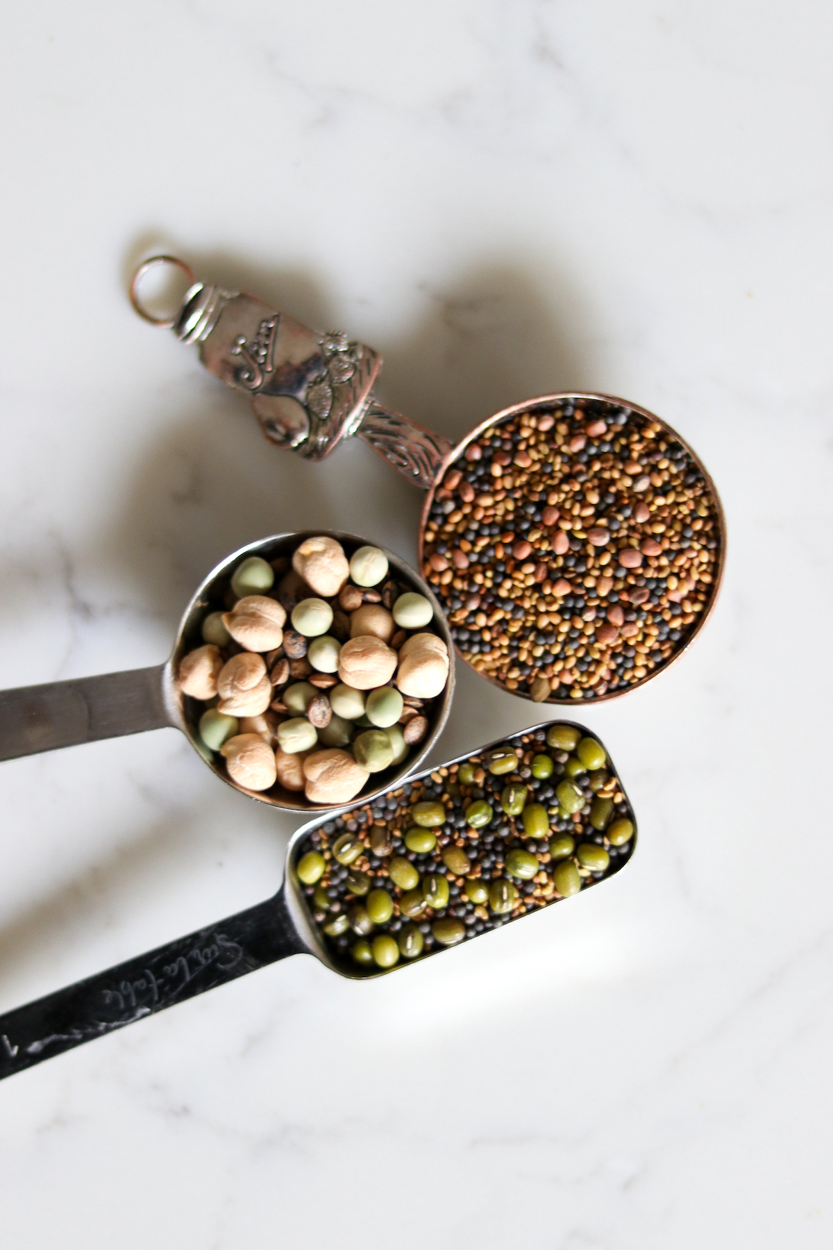 Sprouting Seeds