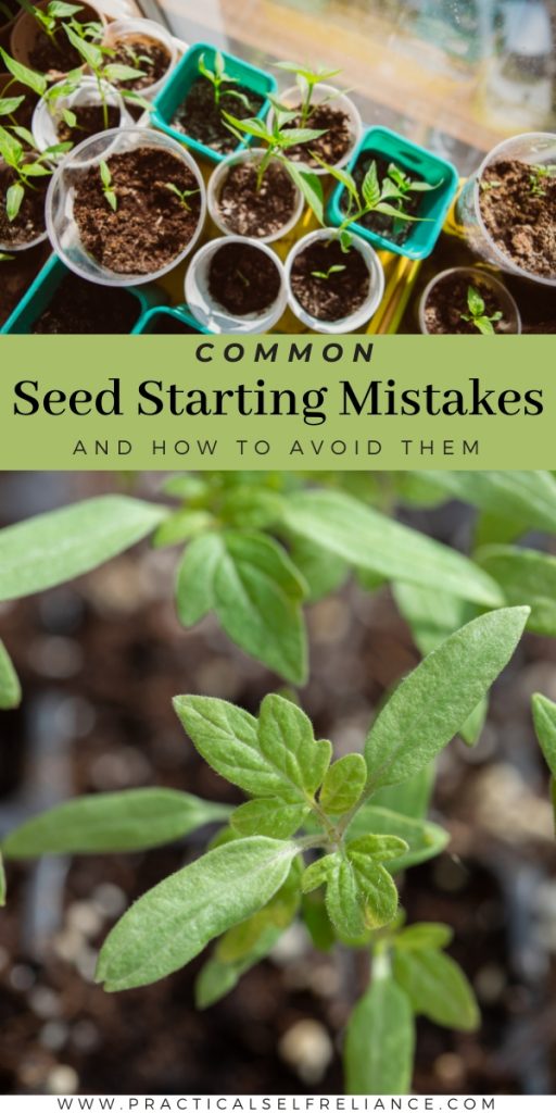 9 Common Seed Starting Mistakes (& How to Avoid Them) — Practical Self ...