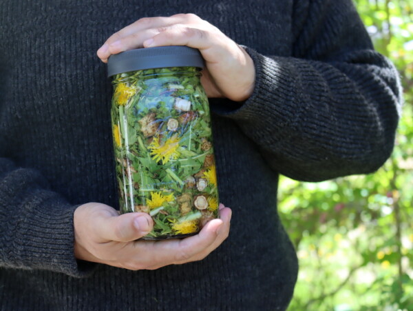 Dandelion Tincture