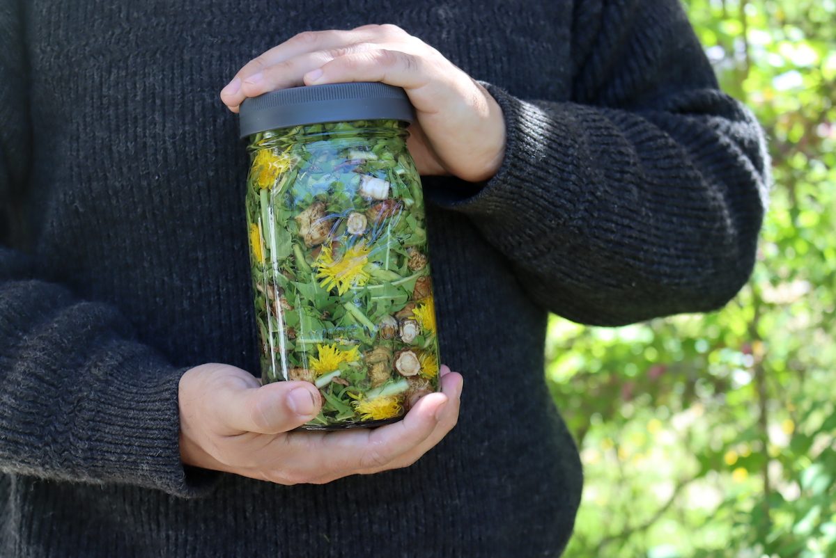 Dandelion Tincture