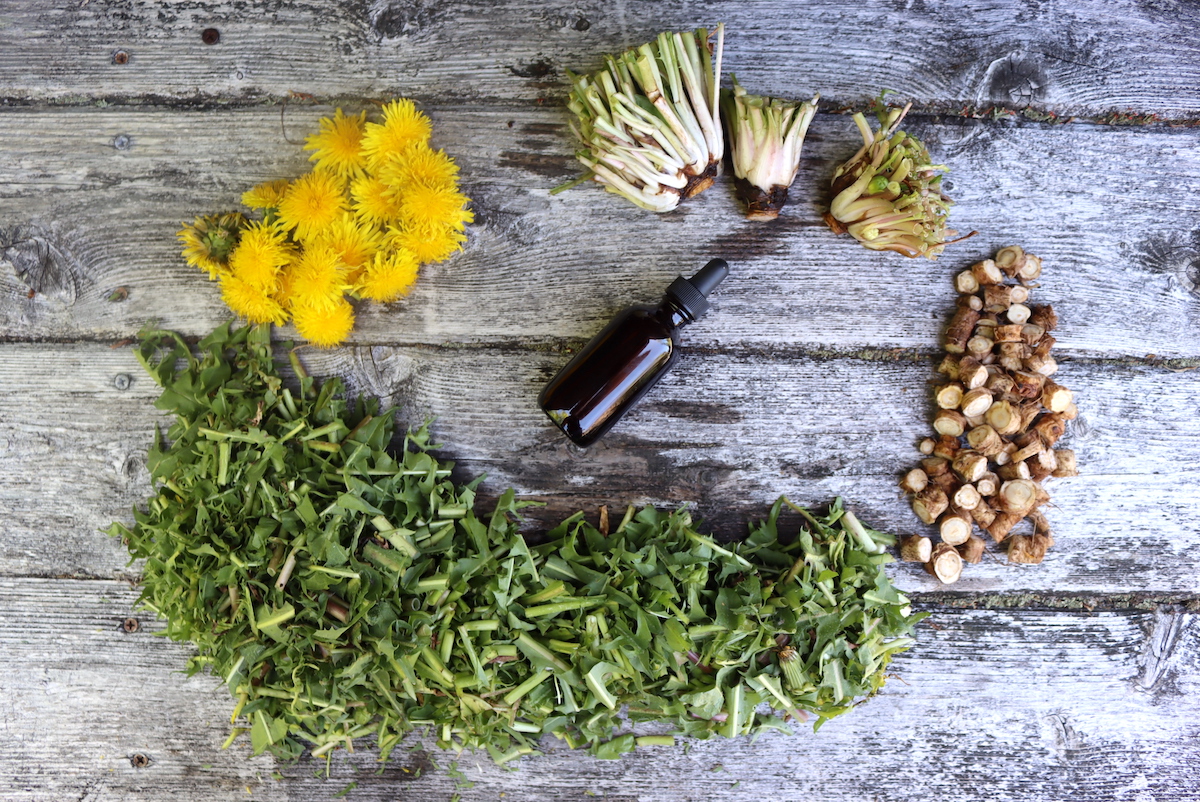 Dandelion Tincture Ingredients