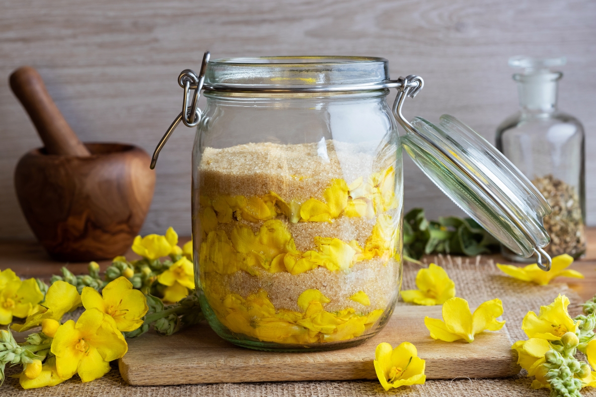 Mullein Syrup