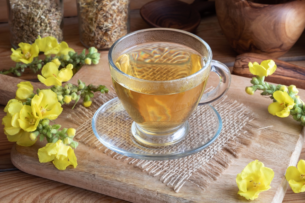 Mullein Tea