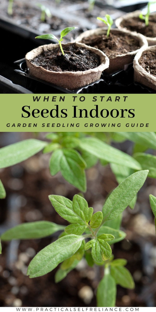 When to Start Seeds Indoors