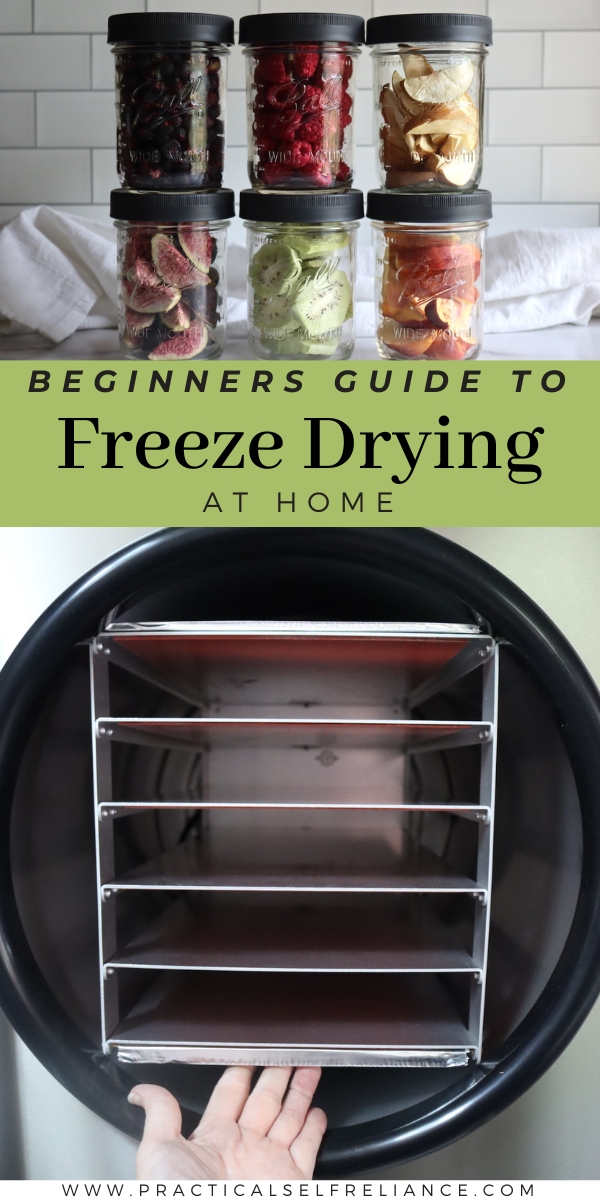Beginners Guide to Freeze Drying