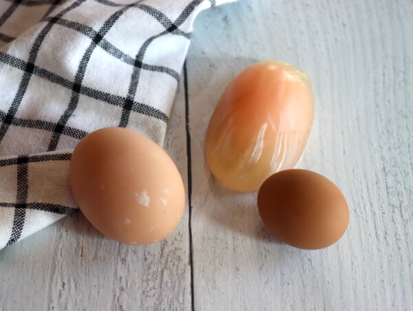 Egg Deformities