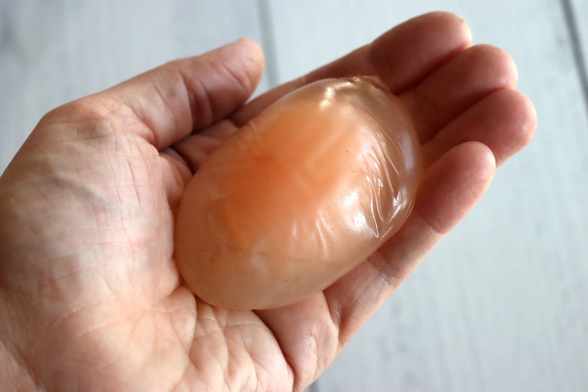 Egg Without a Shell