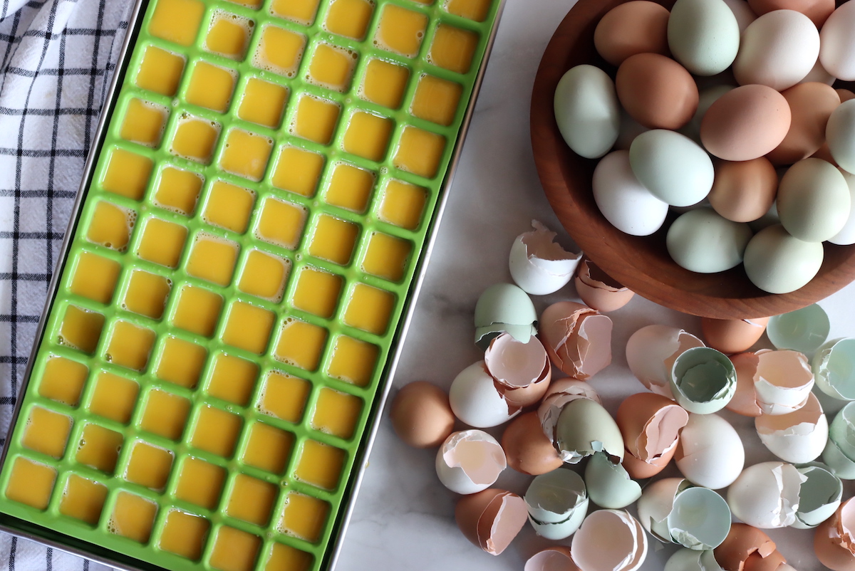 Eggs in Freeze Dryer Trays