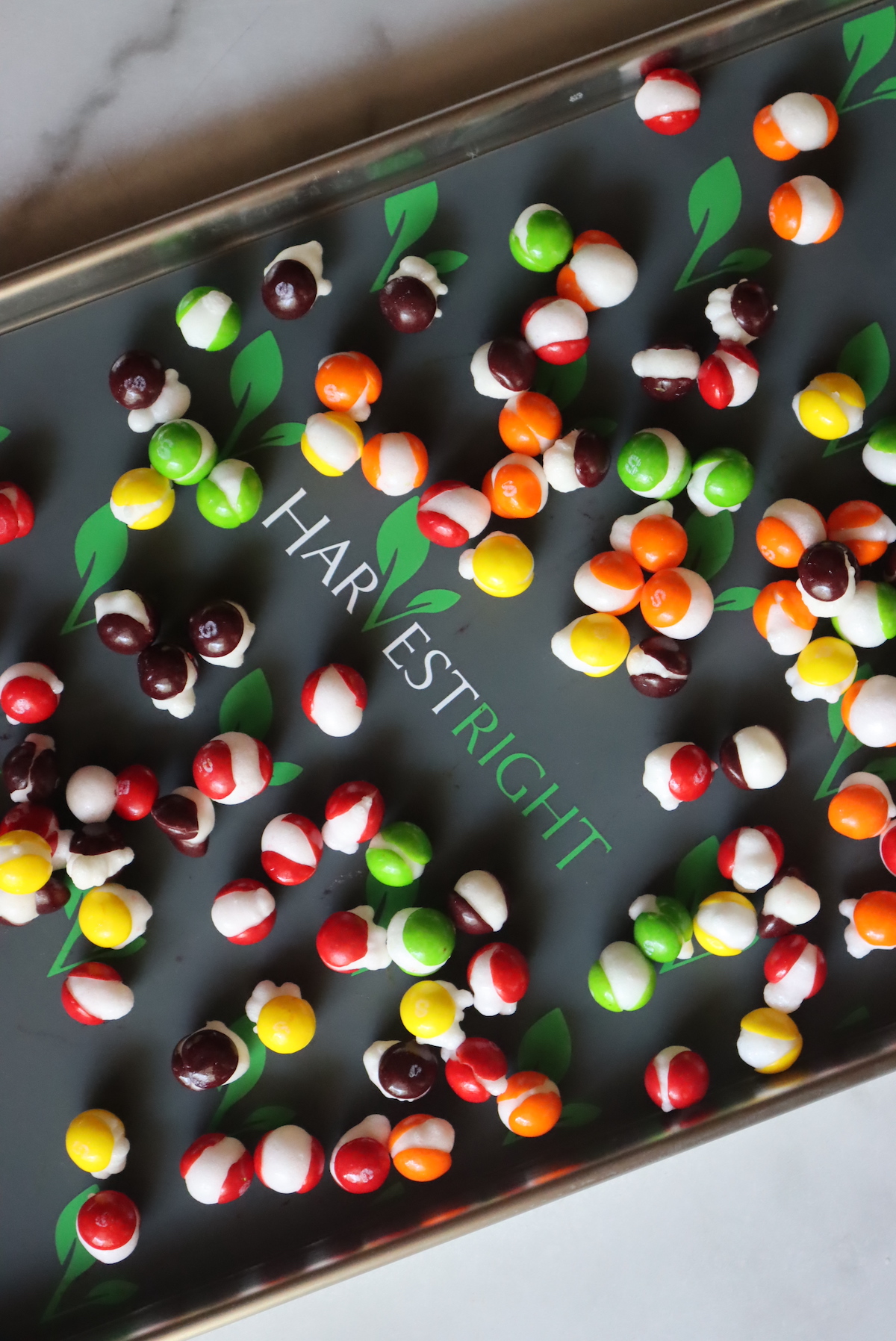 Freeze Dried Skittles