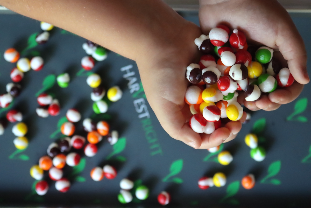 Freeze Dried Skittles