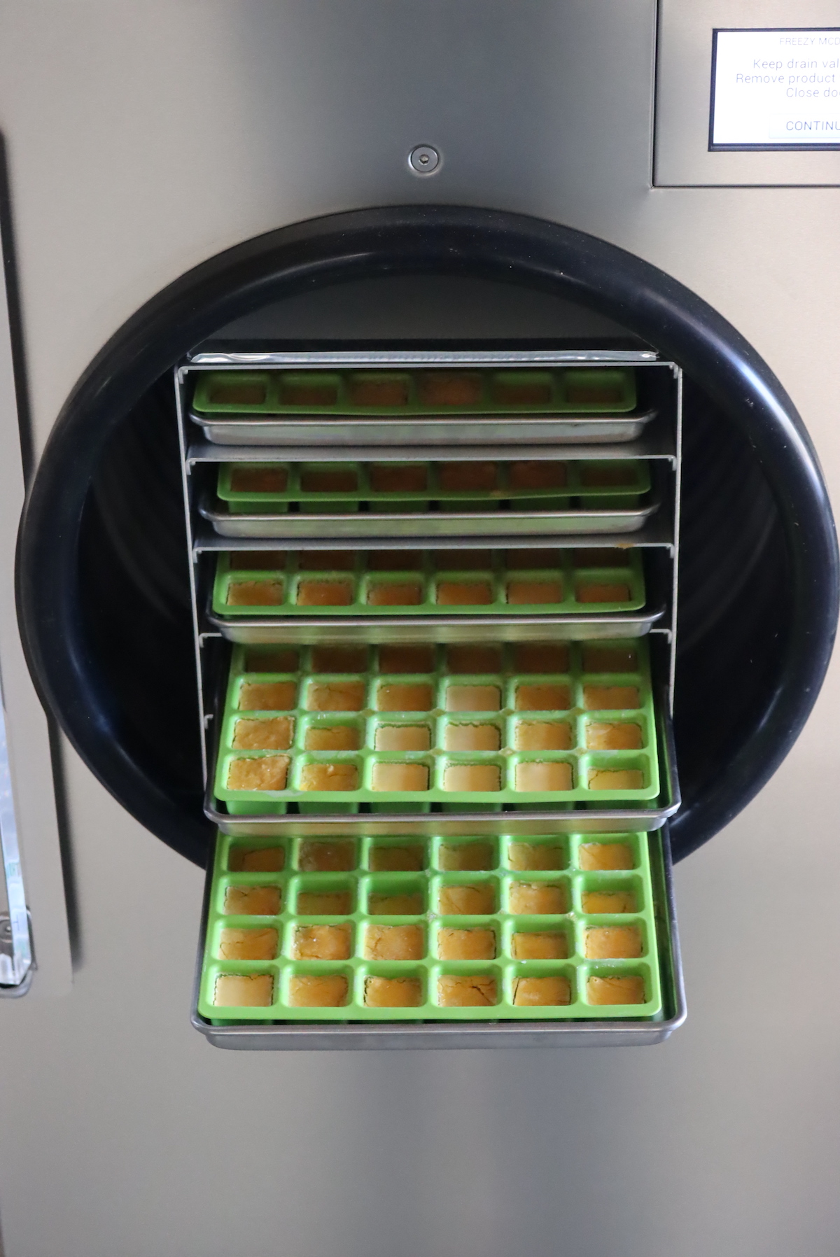 Freeze Drying Eggs