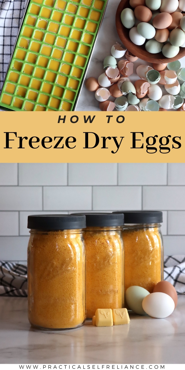 How to Freeze Dry Eggs